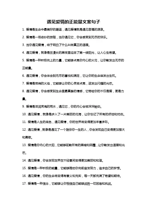 遇见爱情的正能量文案句子