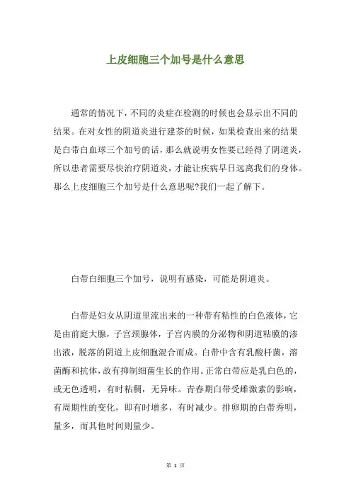 上皮细胞三个加号是什么意思