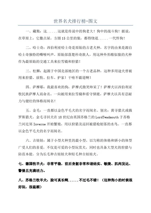 世界名犬排行榜-图文
