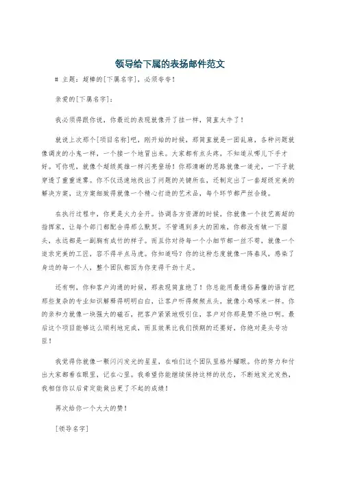 领导给下属的表扬邮件范文
