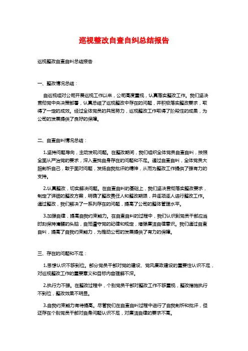 巡视整改自查自纠总结报告