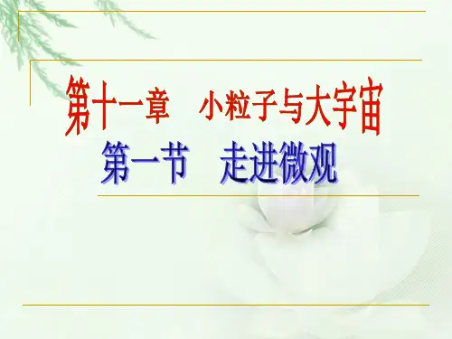 新沪科版八年级物理全一册《十一章 小粒子与大宇宙  第一节 走进微观》课件_3