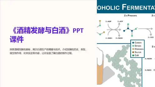 《酒精发酵与白酒》课件