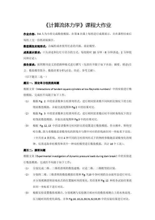 流体力学大作业