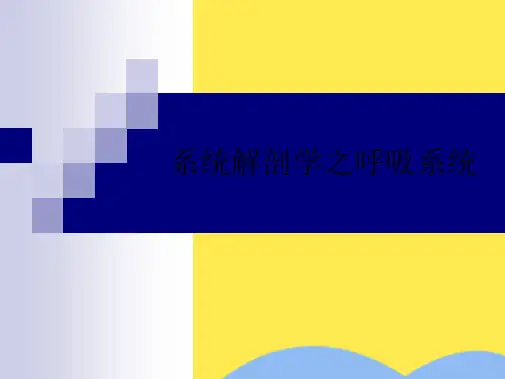 系统解剖学之呼吸系统(分析“胸膜”文档)共52张PPT