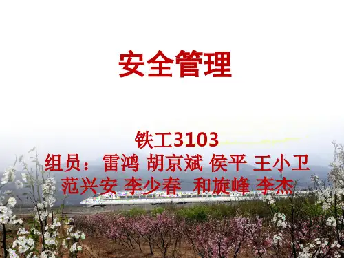 铁路安全管理PPT课件