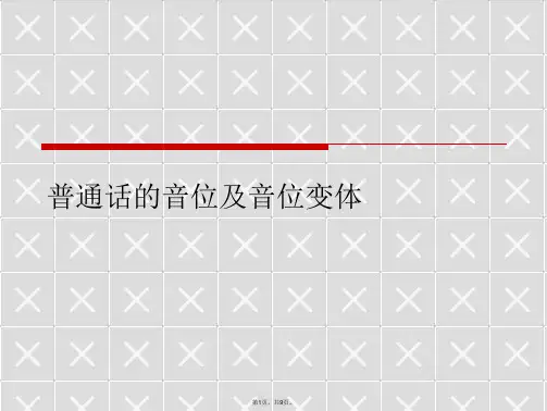 普通话的音位及音位变体