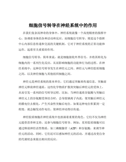 细胞信号转导在神经系统中的作用