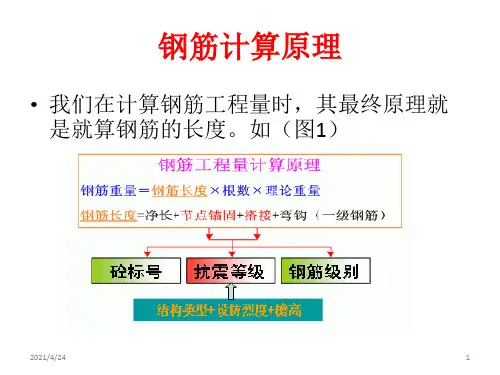 《钢筋计算》PPT课件