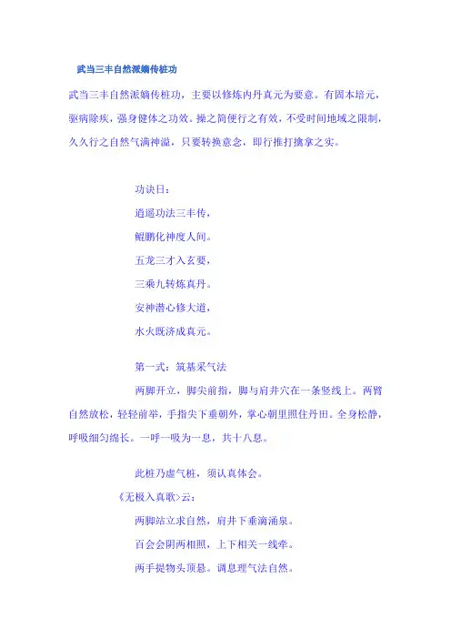 武当三丰自然派嫡传桩功