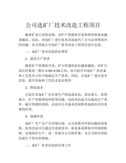 公司选矿厂技术改造工程项目