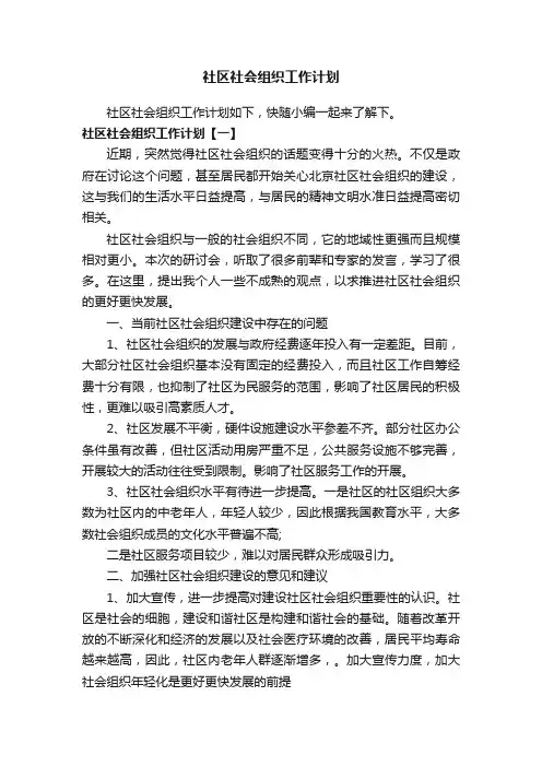 社区社会组织工作计划