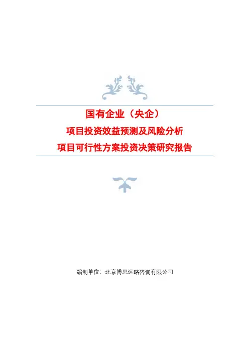 国有企业(央企)项目投资市场效益预测及风险分析项目可行性方案投资决策研究报告