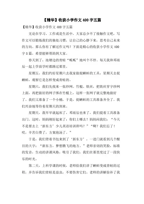 收获小学作文400字五篇