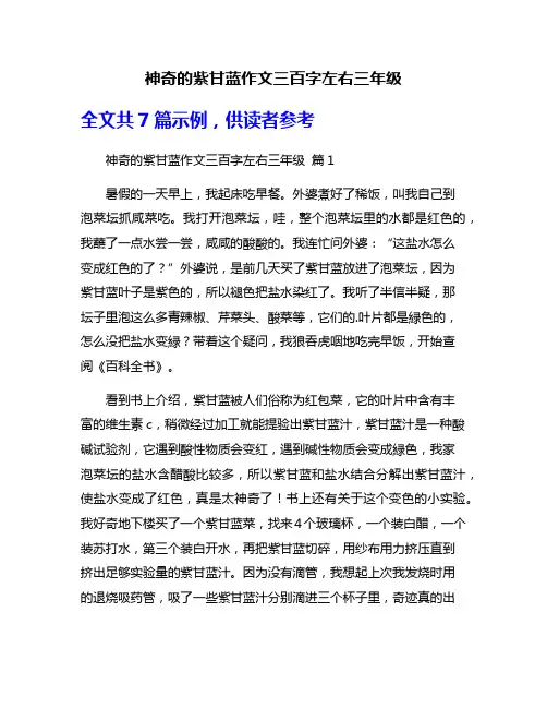 神奇的紫甘蓝作文三百字左右三年级