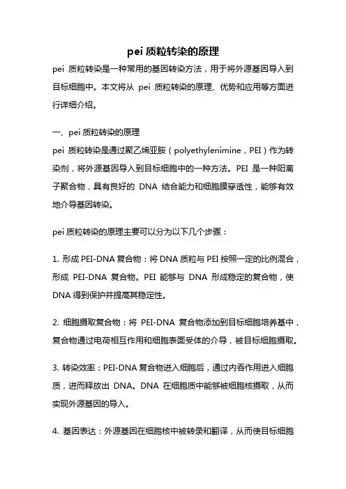 pei质粒转染的原理