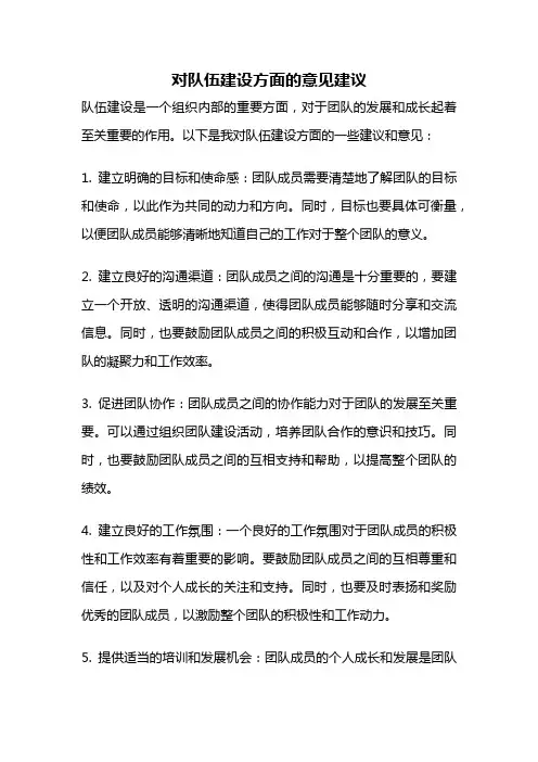 对队伍建设方面的意见建议