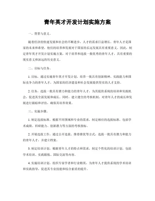 青年英才开发计划实施方案