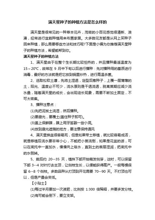 满天星种子的种植方法是怎么样的
