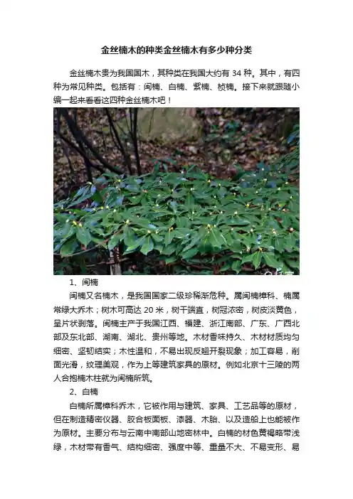 金丝楠木的种类金丝楠木有多少种分类