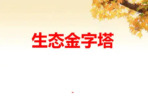 202X春湘教版语文五上《生态金字塔》ppt课件
