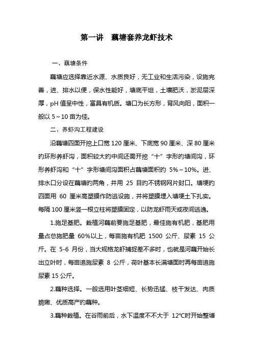 藕塘套养龙虾及藕塘套养泥鳅技术