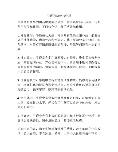 牛鞭的功效与作用