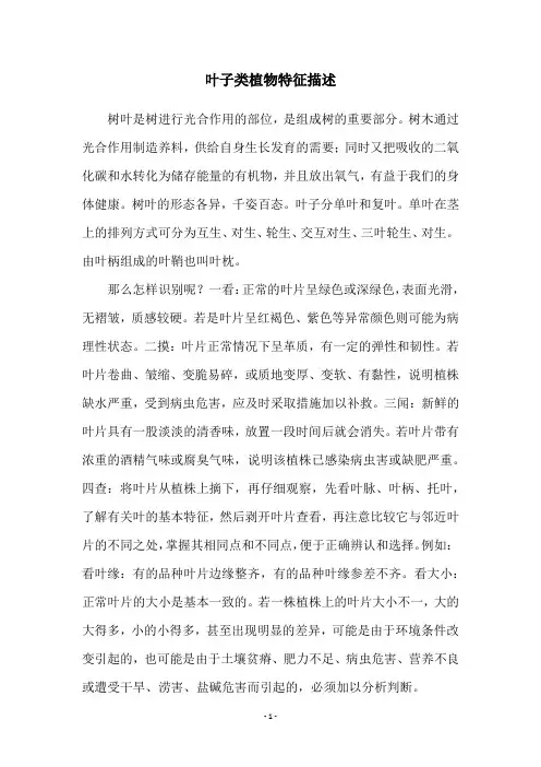 叶子类植物特征描述