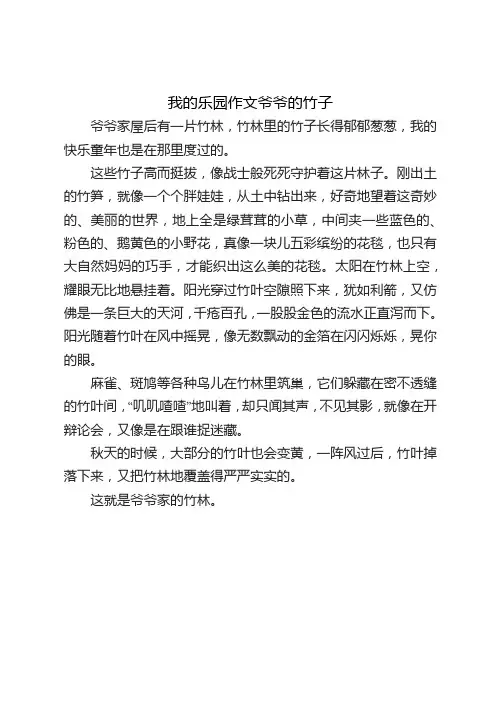 我的乐园作文爷爷的竹子
