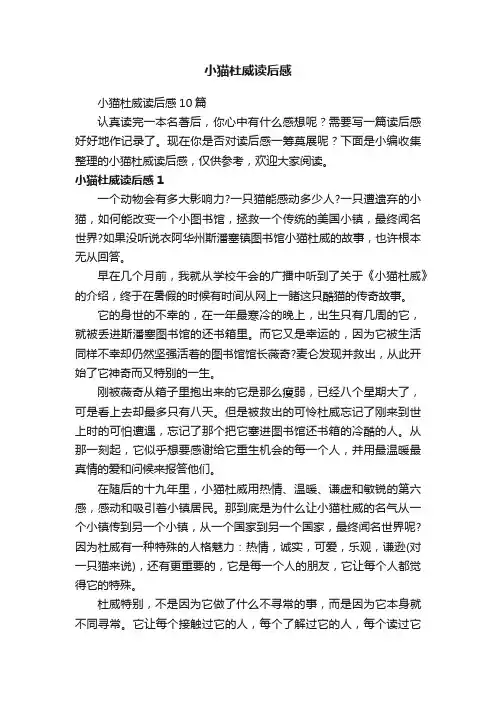 小猫杜威读后感