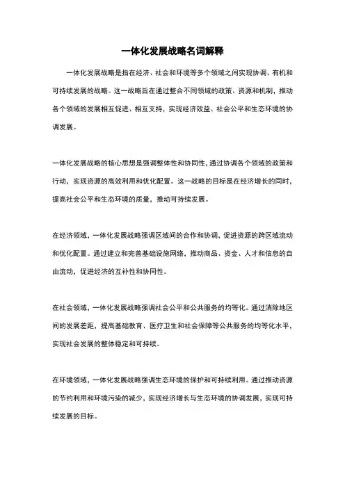 一体化发展战略名词解释