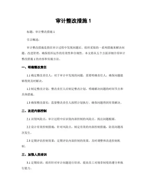 审计整改措施1
