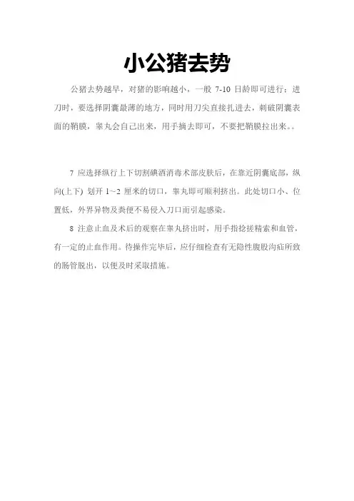 小公猪去势