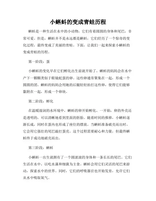 小蝌蚪的变成青蛙历程