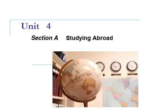 Unit-4--Section-A-新视野大学英语第二册课件