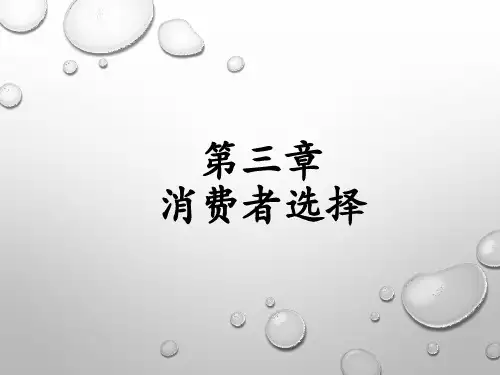 微观经济学-第三章 消费者行为理论