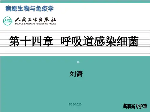 第十四章呼吸道感染细菌PPT