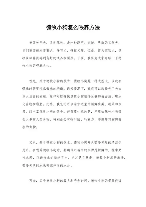 德牧小狗怎么喂养方法