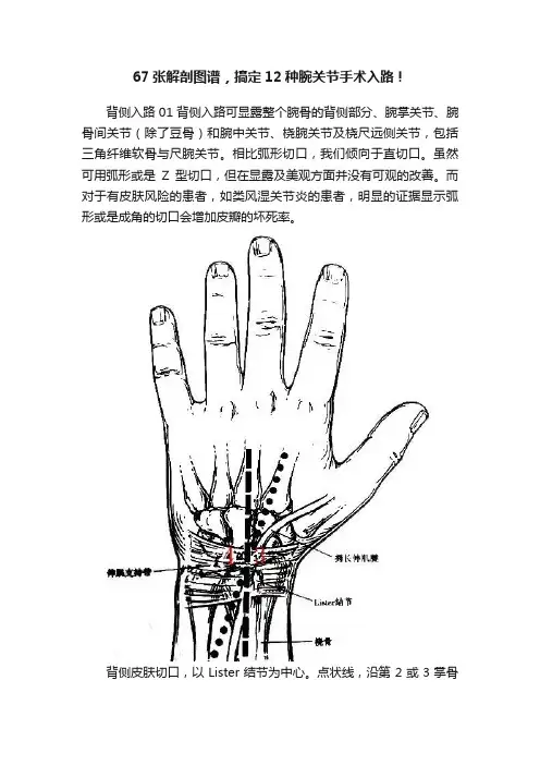 67张解剖图谱，搞定12种腕关节手术入路！