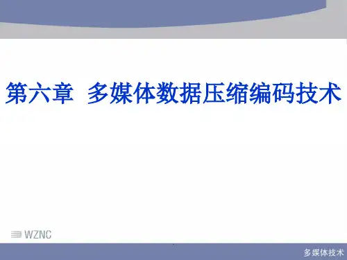 第六章多媒体数据压缩编码技术第一节pppt课件(专业版)