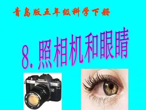 照相机和眼睛