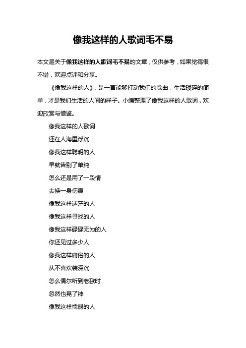 像我这样的人歌词毛不易