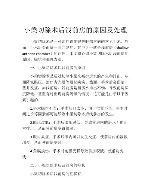 小梁切除术后浅前房的原因及处理