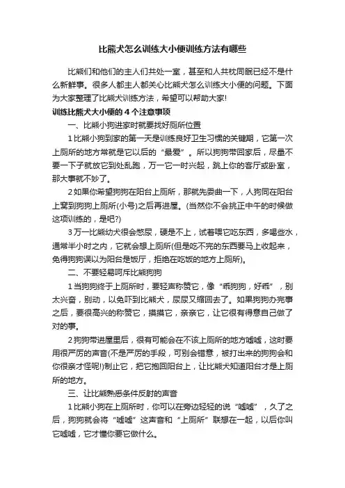 比熊犬怎么训练大小便训练方法有哪些