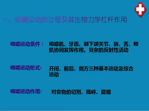咀嚼系统—咀嚼功能与神经控制(口腔解剖生理学)