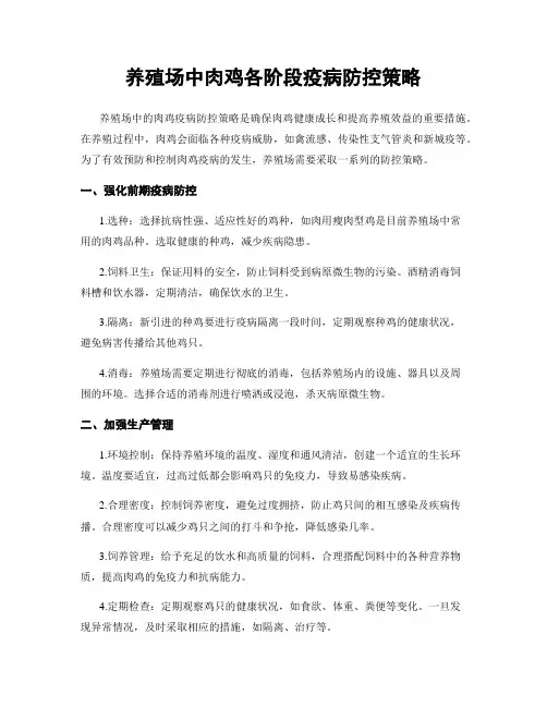 养殖场中肉鸡各阶段疫病防控策略