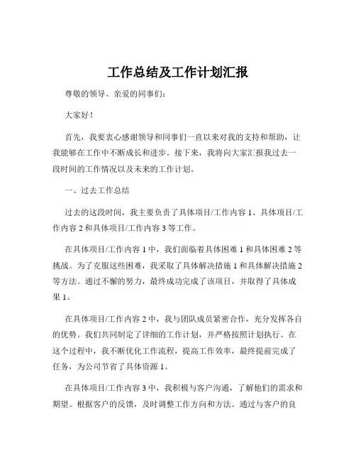 工作总结及工作计划汇报