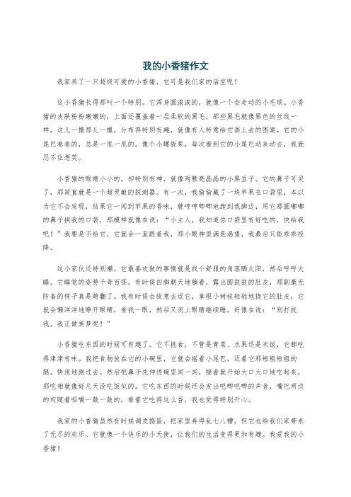 我的小香猪作文