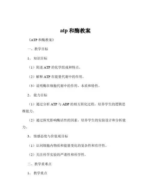 atp和酶教案