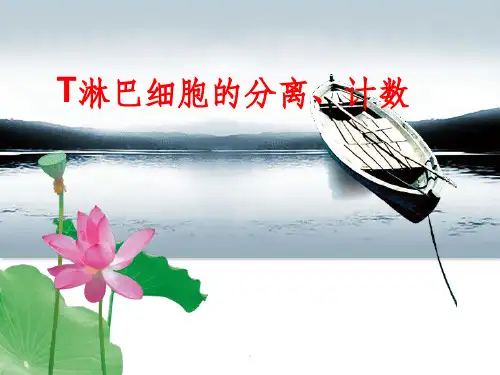 详细的淋巴细胞的分离计数图文教程